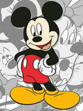 Disney Mickey Mouse 5D Diamond Painting Art